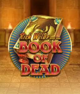 Погрузитесь в захватывающий мир Book of Dead от Play'n GO, показывающий яркую графику приключений Рича Уайлда по древнеегипетским гробницам и артефактам. Откройте затерянные богатства с захватывающими механиками, такими как бесплатные вращения, расширяющиеся иконки и возможность игры на риск. Идеально для тех, кто ищет приключений, желающих раскопок секретов.